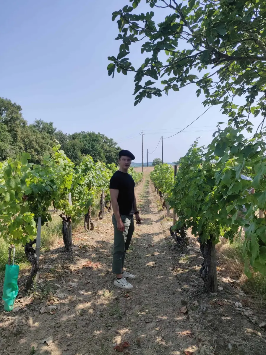 Antoine Desferet, host of Wine Makers Show, standing between two rows of vines